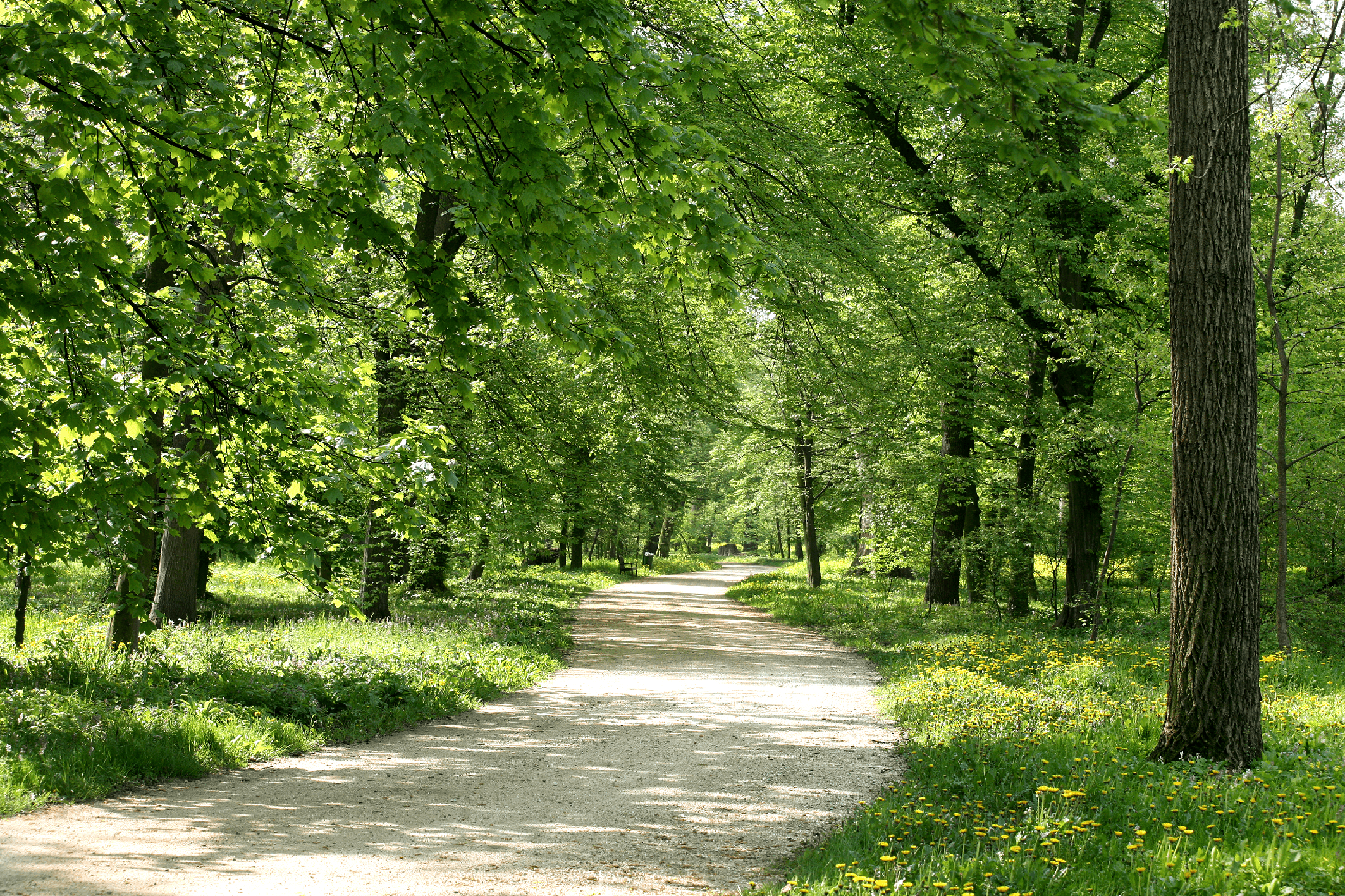 Passeggiata nel Parco